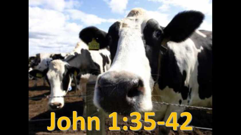 Thank you 11.30.2018