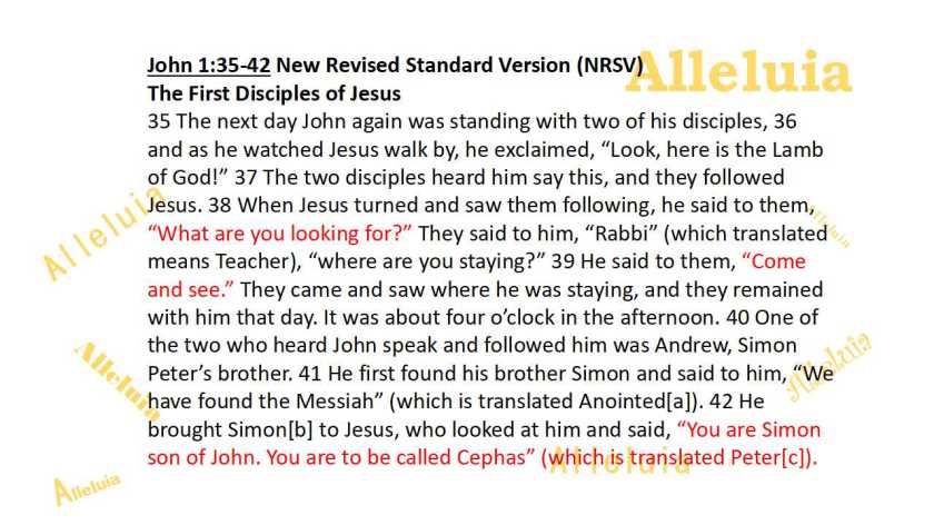 Thank you 11.30.2018a