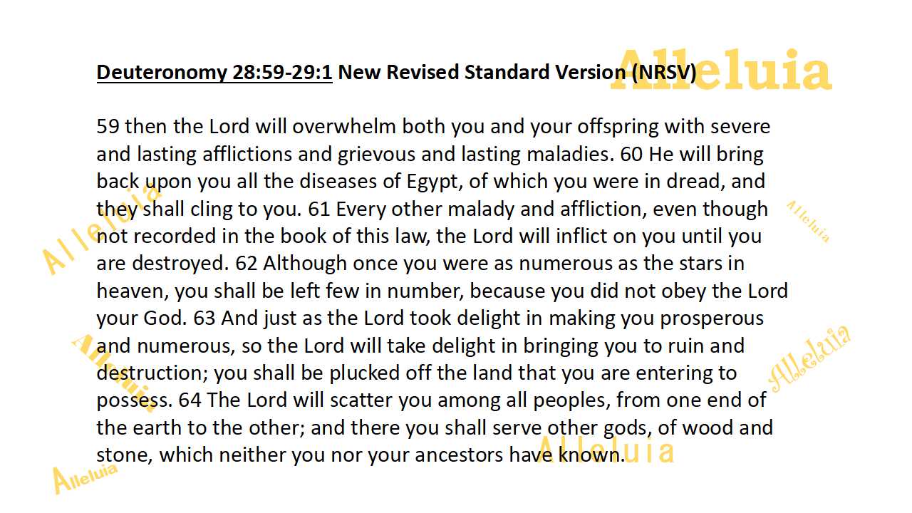 Thank you 11.6.2018a