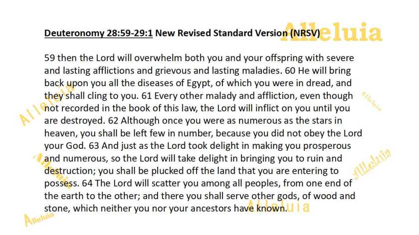 Thank you 11.6.2018a