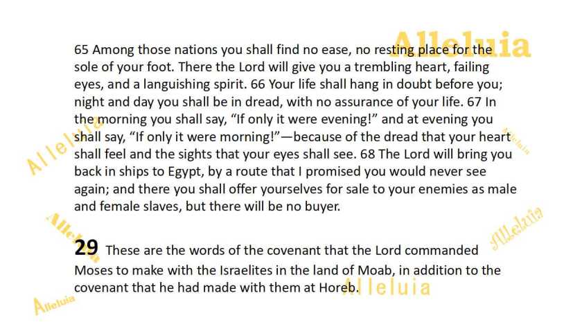 Thank you 11.6.2018b