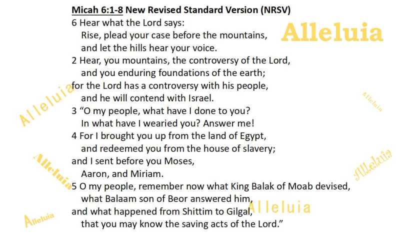 Thank you 11.7.2018a