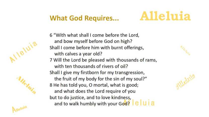 Thank you 11.7.2018b