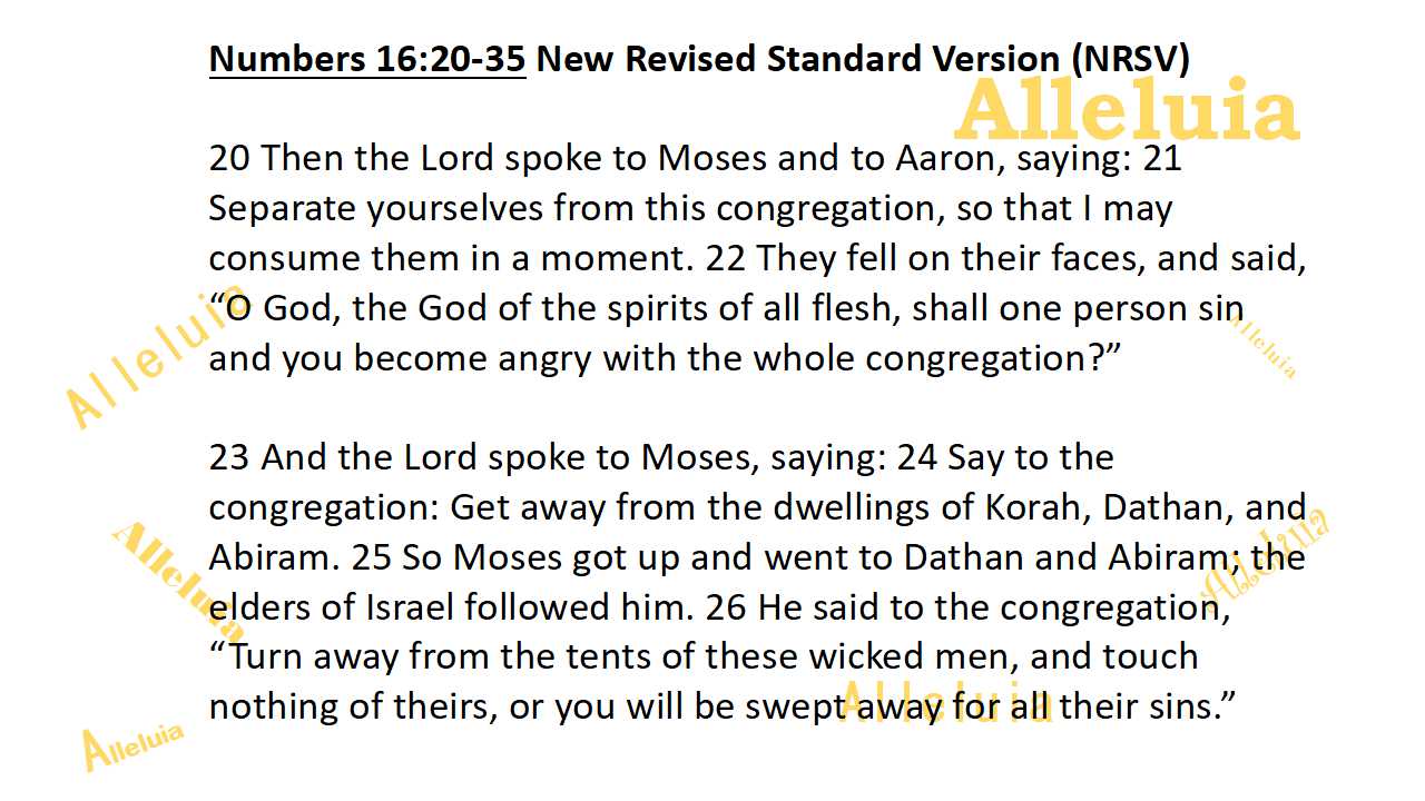 Thank you 12.18.2018a