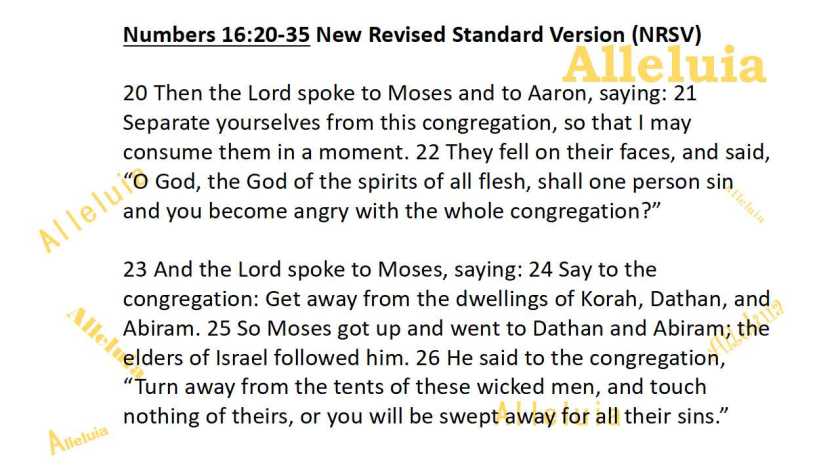 Thank you 12.18.2018a