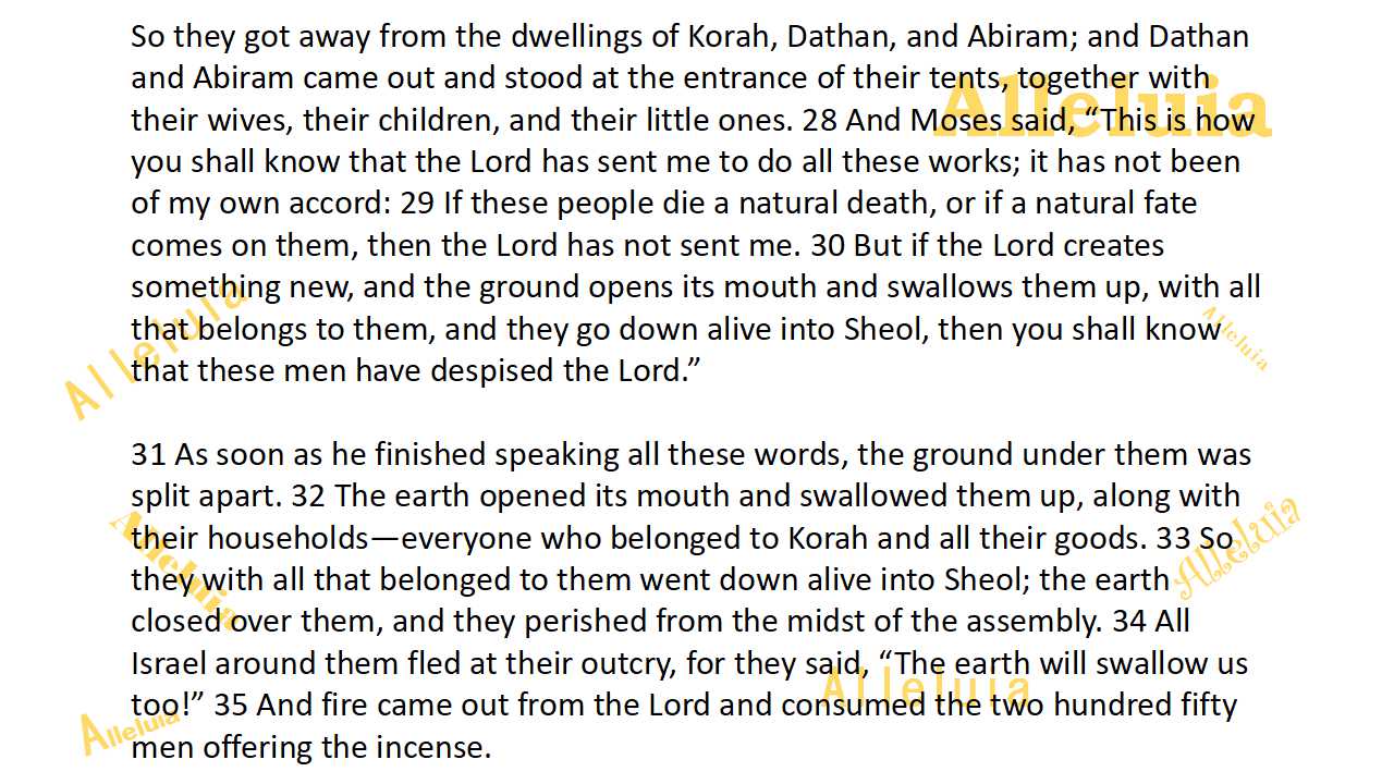 Thank you 12.18.2018b