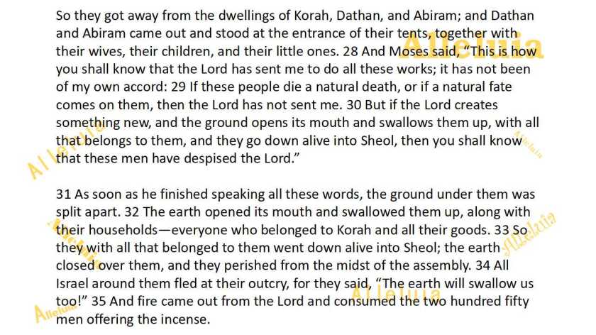 Thank you 12.18.2018b