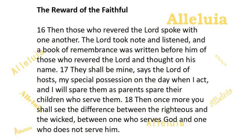 Thank you 12.7.2018c