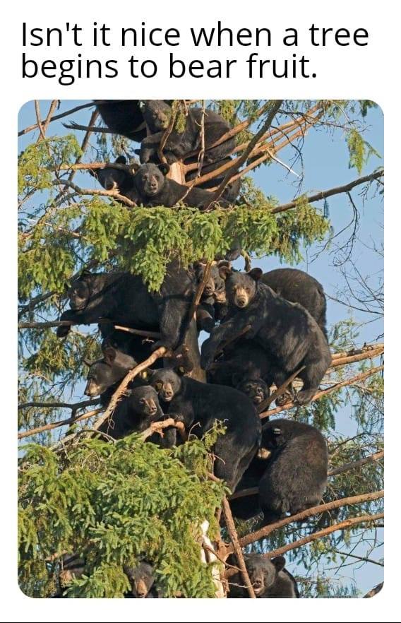 In The Know… (WEEK OF THE THIRD SUNDAY IN LENT) 3/18/2019 –&nbsp;3/24/2019