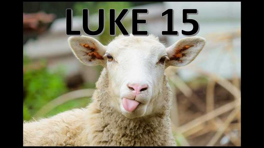 Thank you 3.30-31.2019