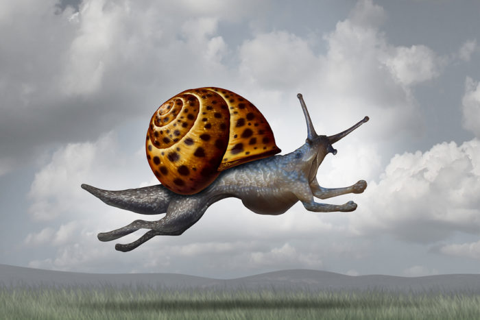 In The Know… (THE TRANSFIGURATION OF OUR LORD)&nbsp;3/3/2019