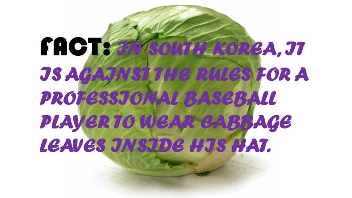 In The Know… (WEEK OF SECOND SUNDAY OF EASTER) 4/22/2019 –&nbsp;4/28/2019