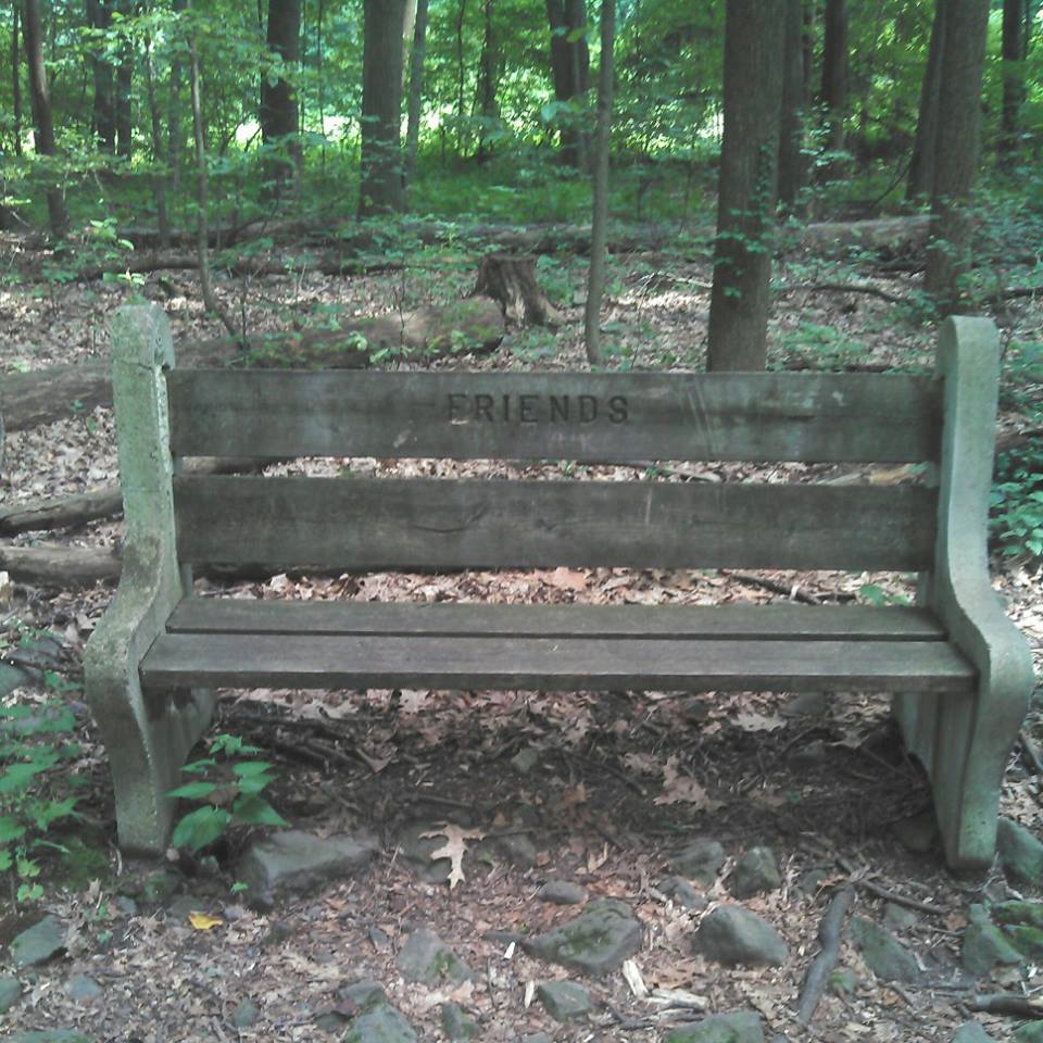 In The Know… (WEEK OF NINTH SUNDAY AFTER&nbsp;PENTECOST)