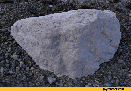 In The Know… (PUSH/CLICK&nbsp;HERE)