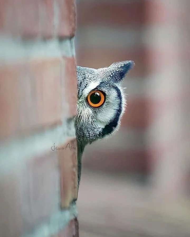 In The Know… (PUSH/CLICK&nbsp;HERE)