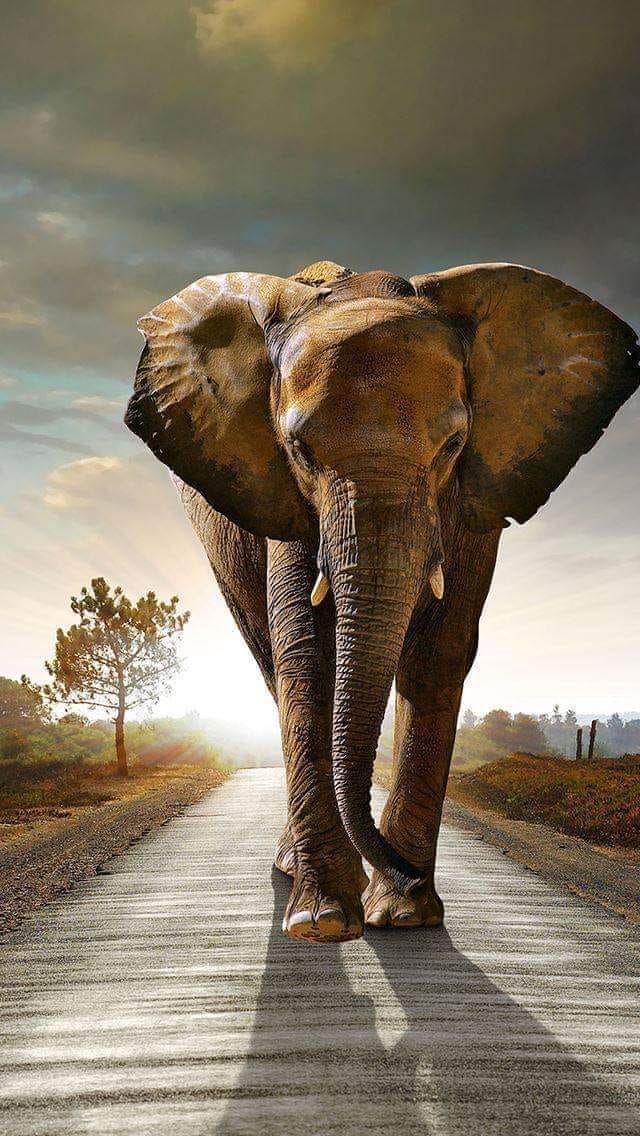 In The Know… (PUSH/CLICK&nbsp;HERE)