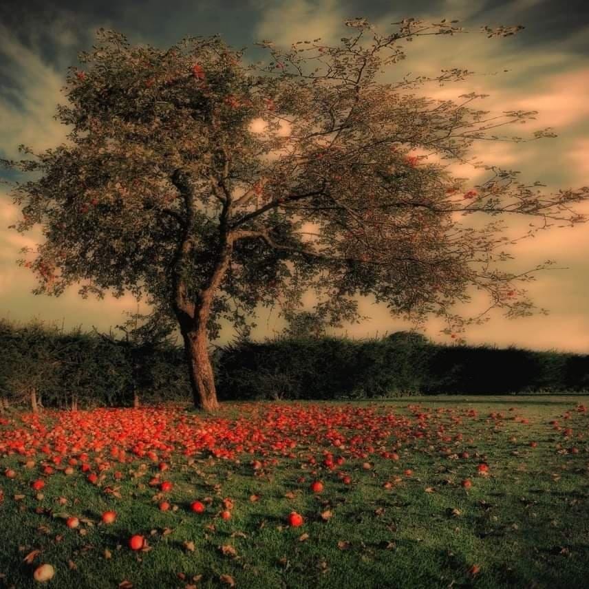 In The Know… (PUSH/CLICK&nbsp;HERE)