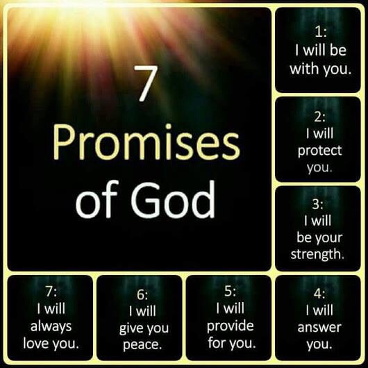 In The Know… (PUSH/CLICK&nbsp;HERE)