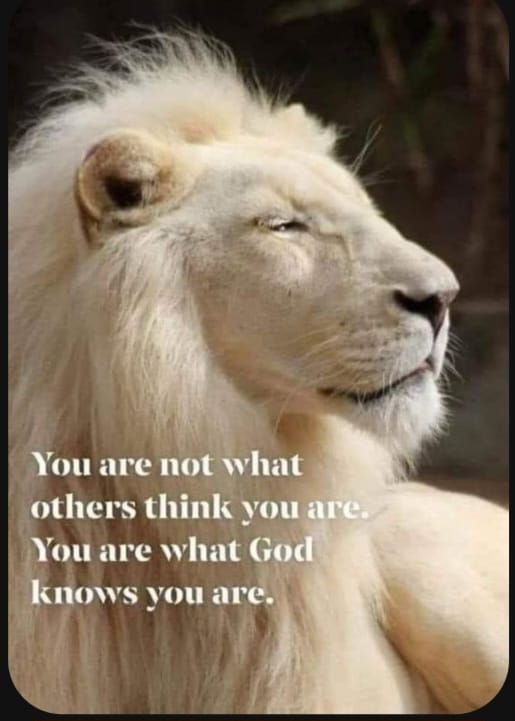 In The Know… (PUSH/CLICK&nbsp;HERE)