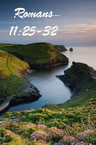 TODAY’S WORD: Revealed Mystery and Unity: Romans 11:25-32 Reflection