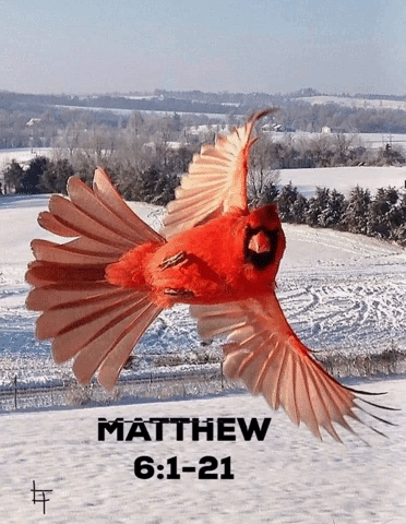 TODAY’S WORD: Matthew 6:1-21: Storing Eternal Treasures: Insights from