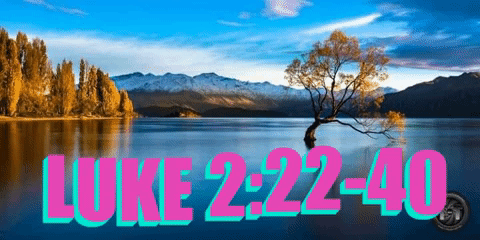 TODAY’S LESSON: LIVING, BREATHING, THANKFUL… – DO-N-GOOD.COM